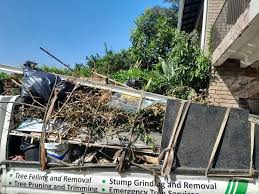 Moving and Downsizing Cleanouts in Live Oak, TX